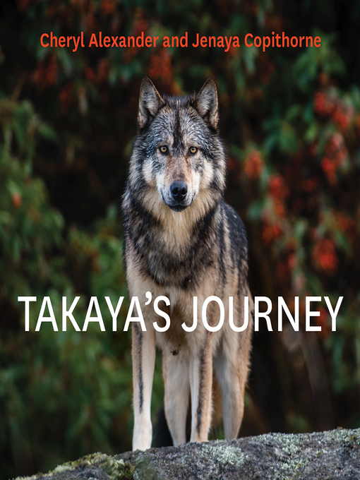 Cover image for Takaya's Journey